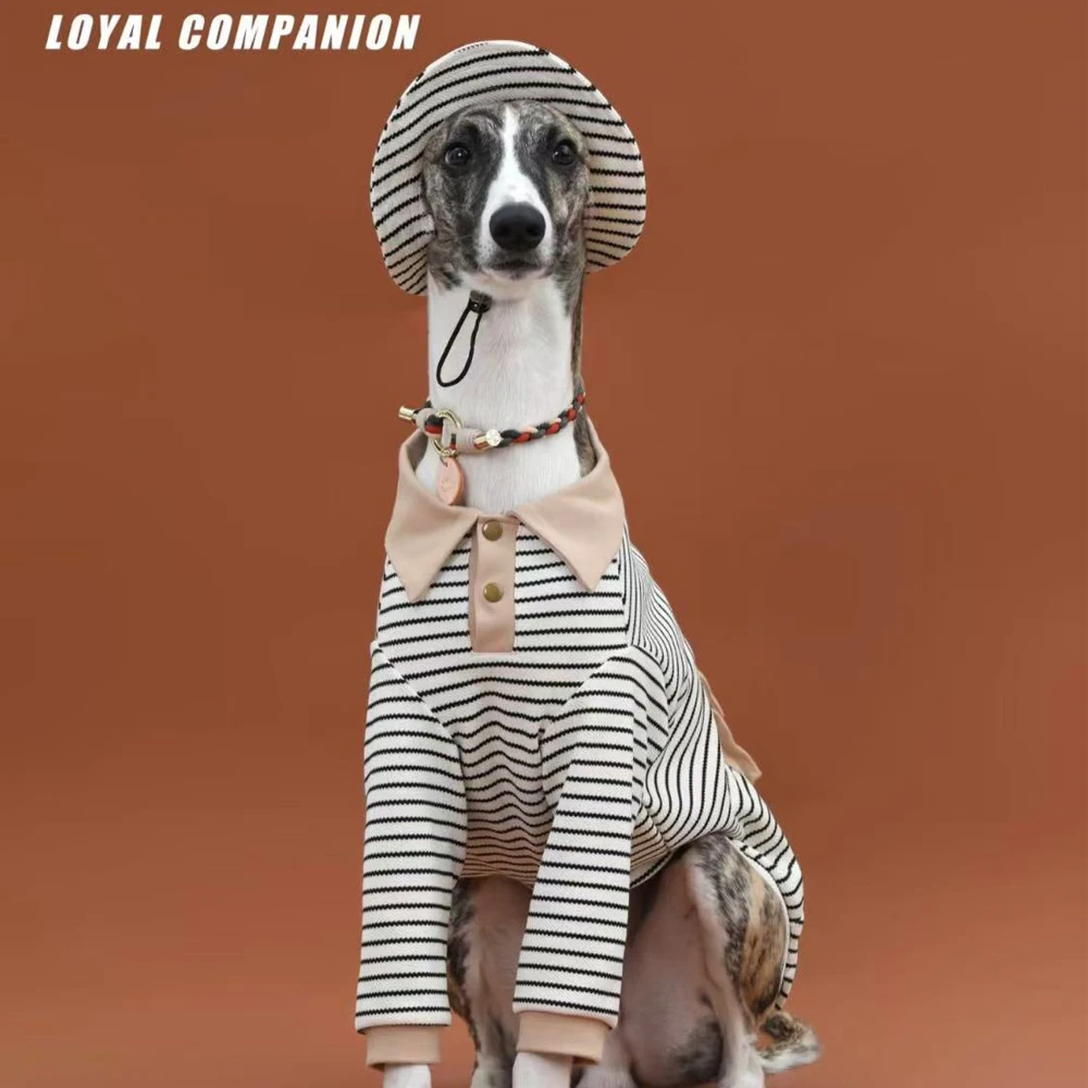 Polo a rayas con sombrero para Greyhound, abrigo de algodón suave de manga larga, traje para medios pequeños, perros Whipbit grandes, primavera y verano - imagen 2