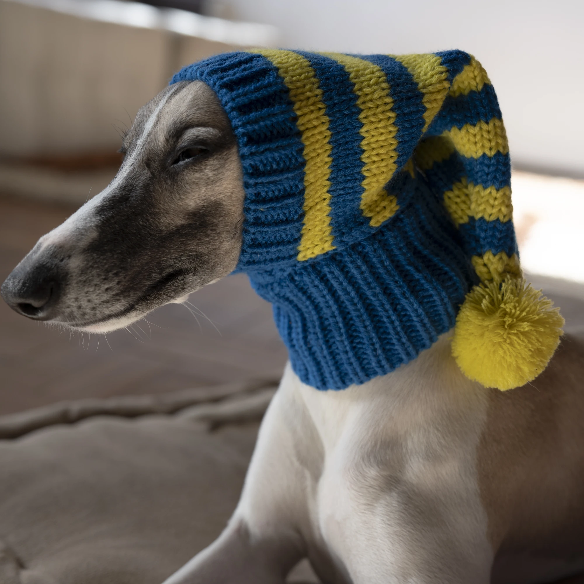 Gorro de punto a rayas azules para perros medianos en invierno Galgo italiano Primavera lindo disfraz Whippet Pet Warm Hat en otoño