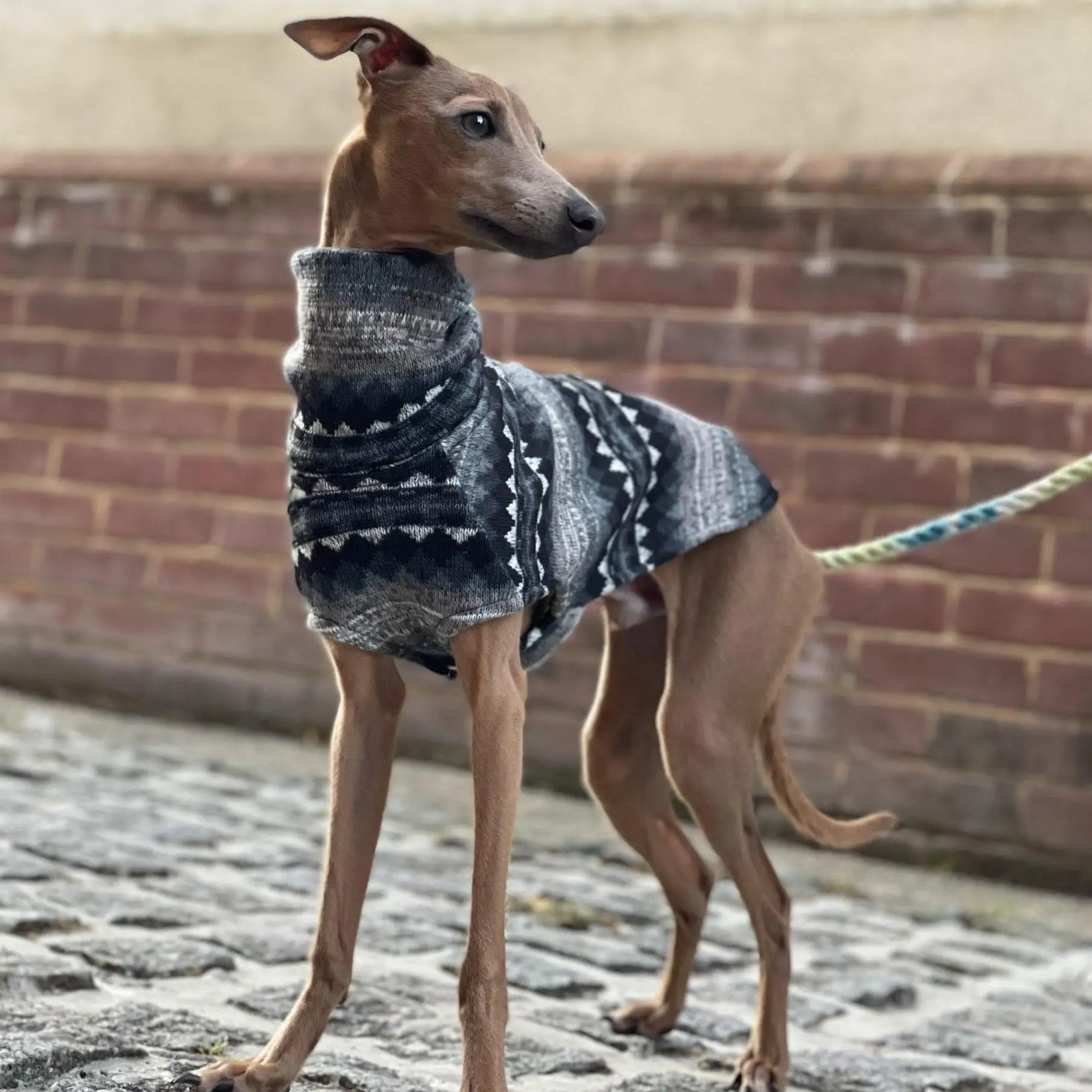 Chaleco Whippet de cuello alto de lana de invierno, ropa de estilo bohemio de galgo italiano, abrigo para perro, ropa de cama elástica suave - imagen 4