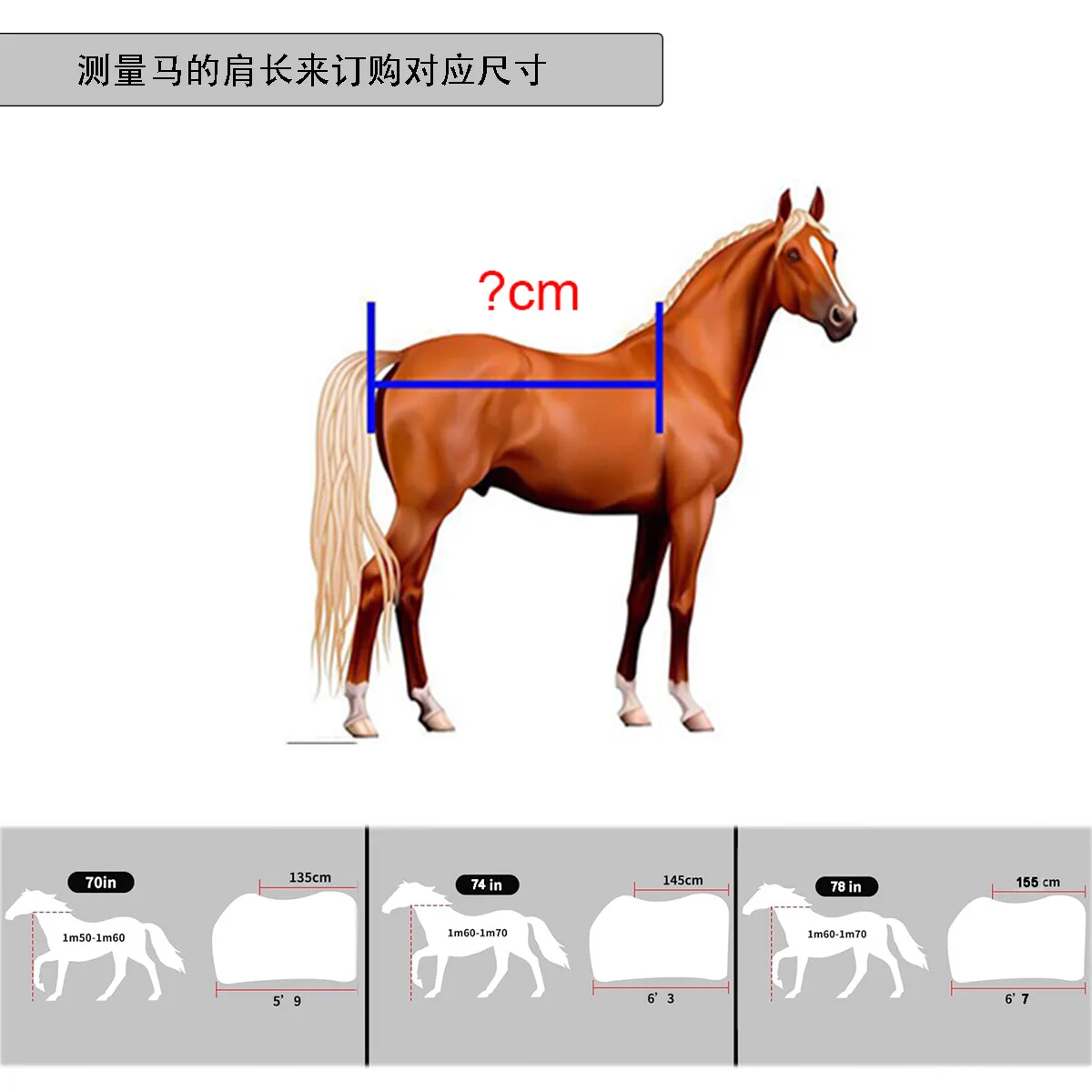 Ropa de caballo transpirable, impermeable y cálida para invierno, línea prensada, tela de nailon acolchada, ropa para caballos, cinturón, bufanda, productos para mascotas - imagen 2