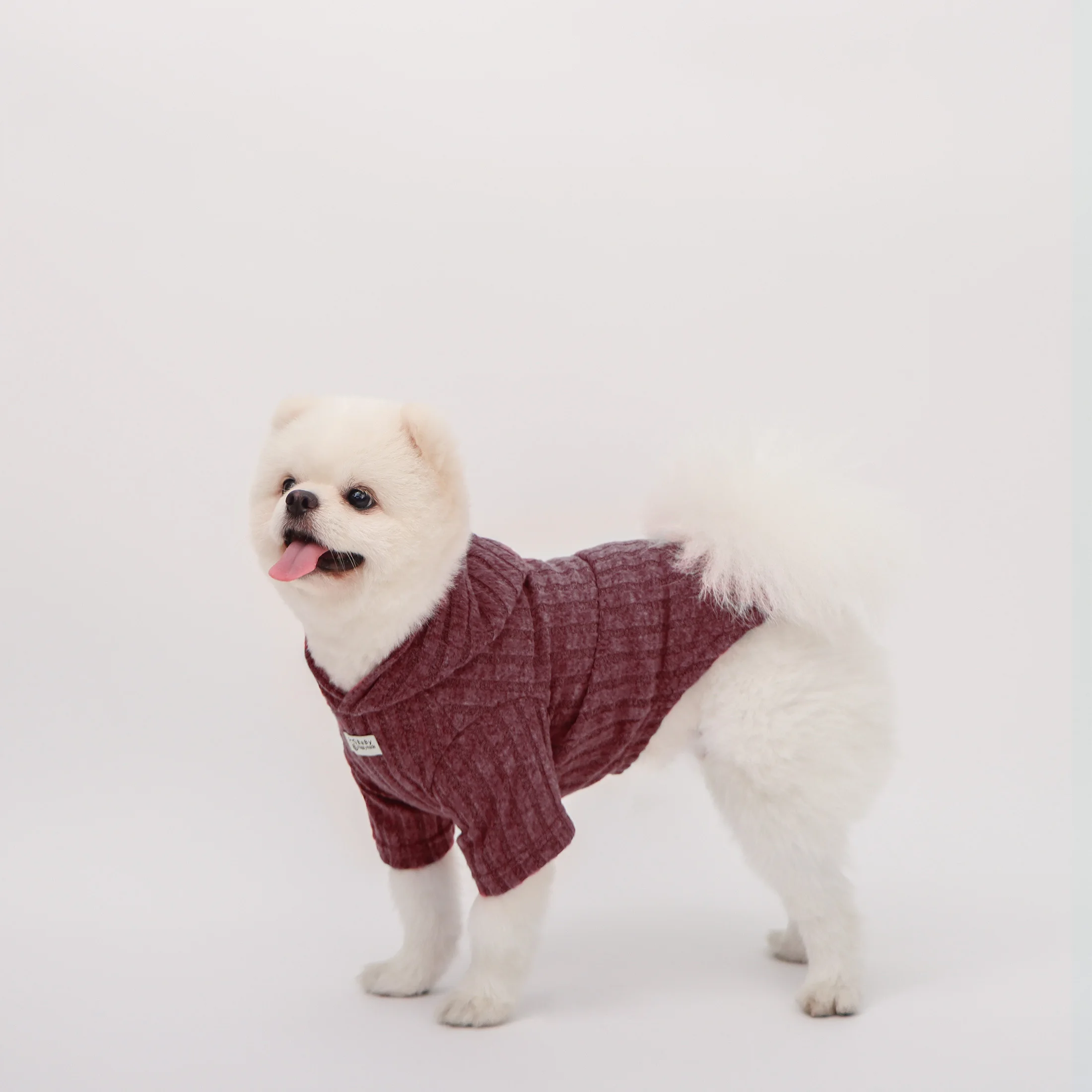 Sudadera con capucha cálida para perros y gatos pequeños, suave