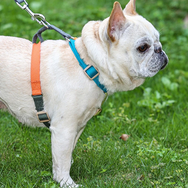 Arnés de algodón para perros pequeños y grandes, chaleco ajustable para cachorros, chaleco transpirable para caminar al aire libre, suministros para mascotas - imagen 2