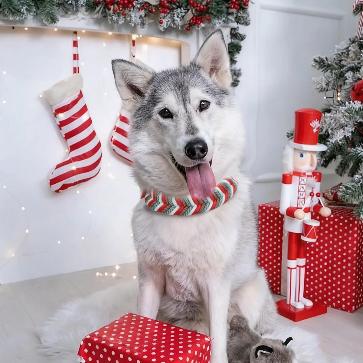 Collar de perro trenzado hecho a mano de Navidad, cuerda de nailon trenzada resistente, Collar de perro para mascotas, Collar ajustable para caminar y entrenar - imagen 4