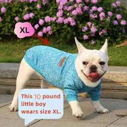 Ropa para perros y gatos: suéter de terciopelo otoño-invierno