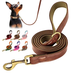 Correa de cuero sintético para perros medianos y grandes – Doble capa