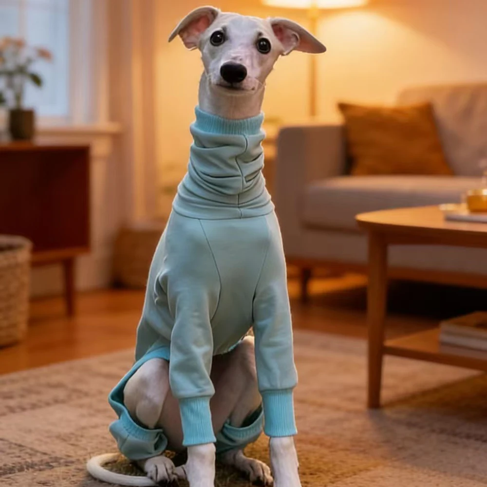 Abrigo de algodón para galgo italiano y Whippet – Cuello alto primavera y otoño - imagen 3