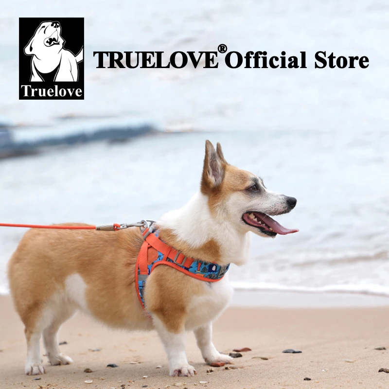 Truelove Arnés de malla con estampado floral para perros y gatos razas pequeñas y medianas para todo tipo de clima ajustable para caminar en verano TLH30131 - imagen 5