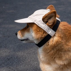 Visera solar para perros con protección en verano al aire libre