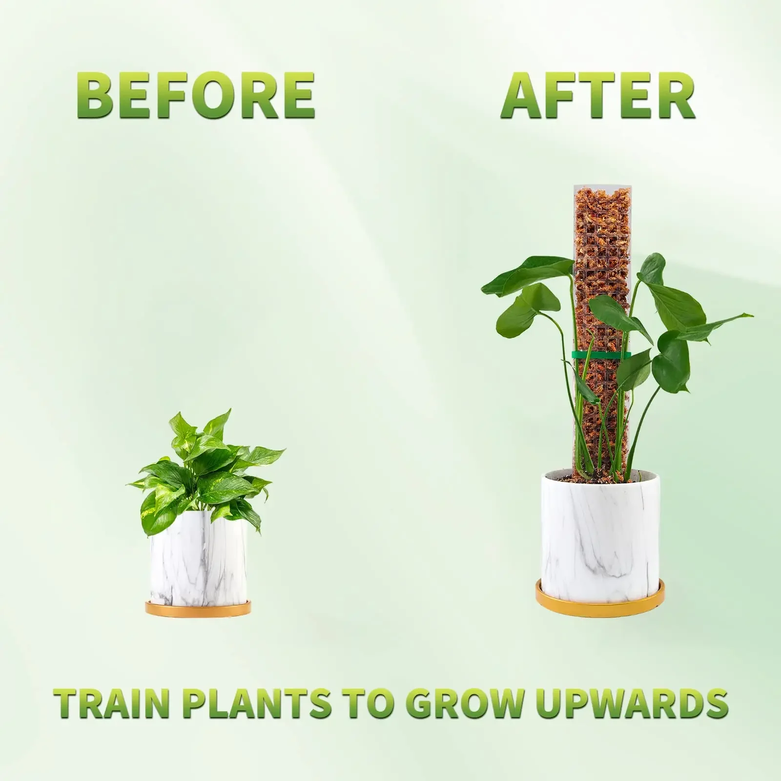 Postes de musgo de interior reutilizables y transparentes de plástico, soporte para plantas, palos en maceta, planta trepadora de tren para crecer hacia arriba para jardín - imagen 2