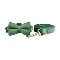 Bow Collar Leash Set