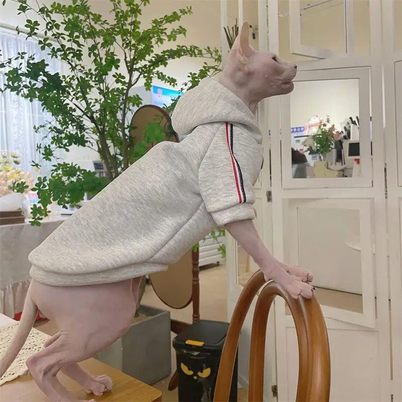 Abrigo gris grueso para gato en invierno, Sudadera con capucha de forro polar suave para Devon Rex en clima frío, chaqueta de manga larga para gato esfinge - imagen 4