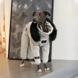 Chaqueta impermeable con capucha para perros – Cálida y lightness