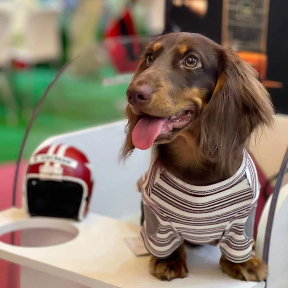 Pijama a rayas suave para perro Dachshund – Camiseta ligera de verano