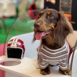 Pijama a rayas suave para perro Dachshund – Camiseta ligera de verano