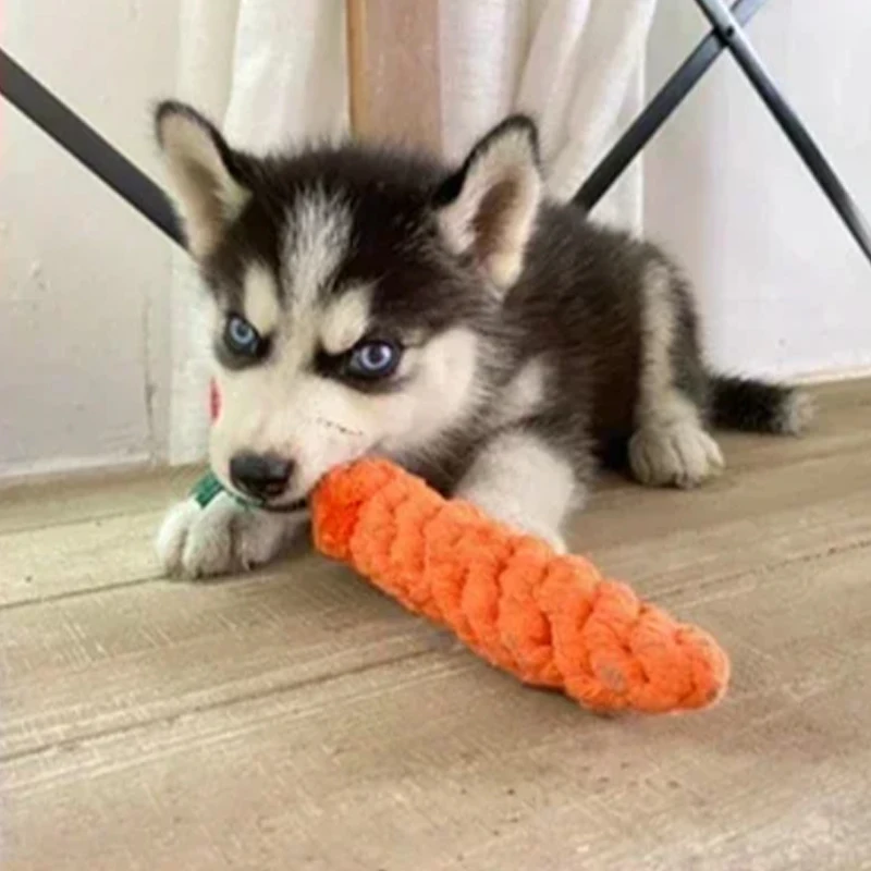 Juguete para perros, Bola de cuerda con nudo de zanahoria, cuerda de algodón con mancuernas, limpieza de dientes para cachorros, juguete para masticar, suministros para mascotas resistentes a mordeduras trenzadas duraderas, 1 ud. - imagen 2
