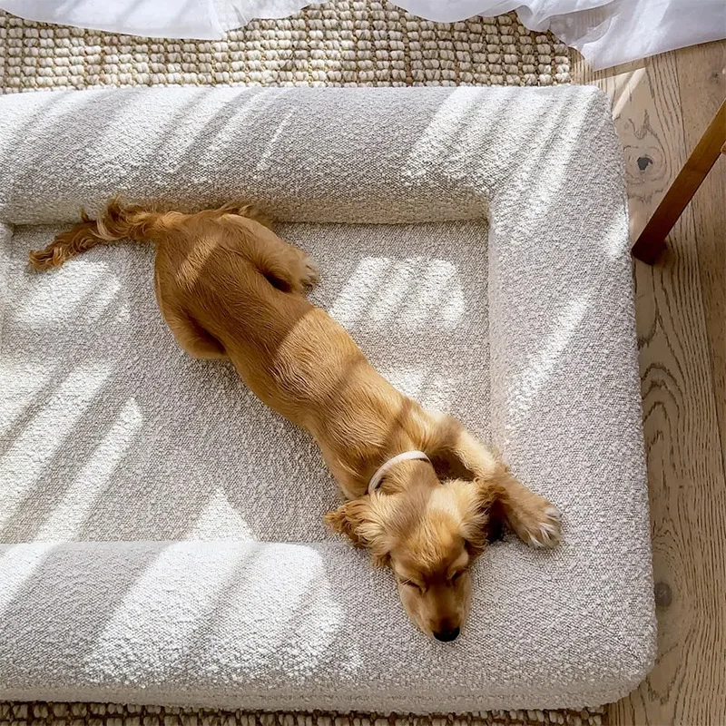 Cama viscoelástica impermeable para perros desmontable y lavable