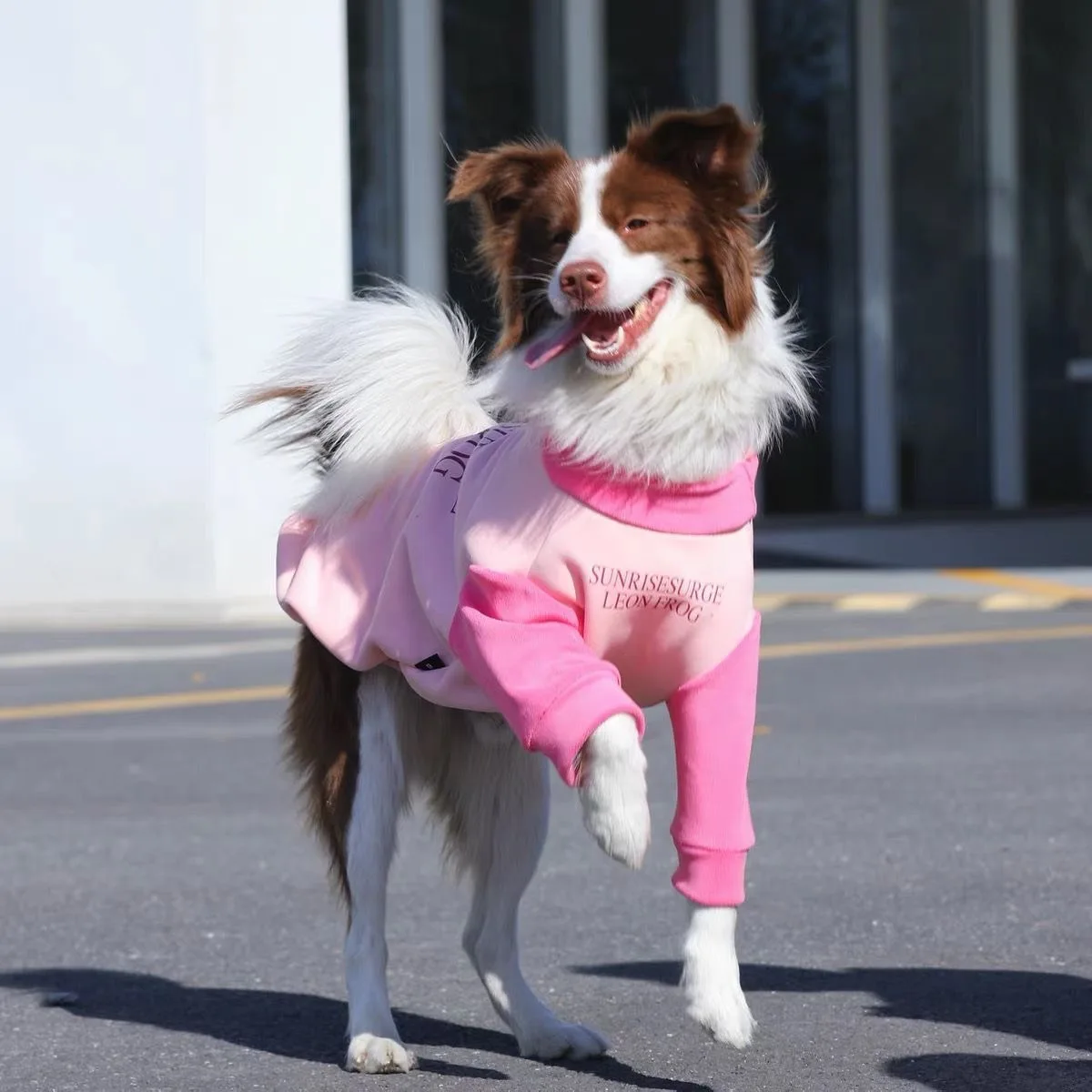 Abrigo invierno perros grandes forro polar – Rosa - imagen 2