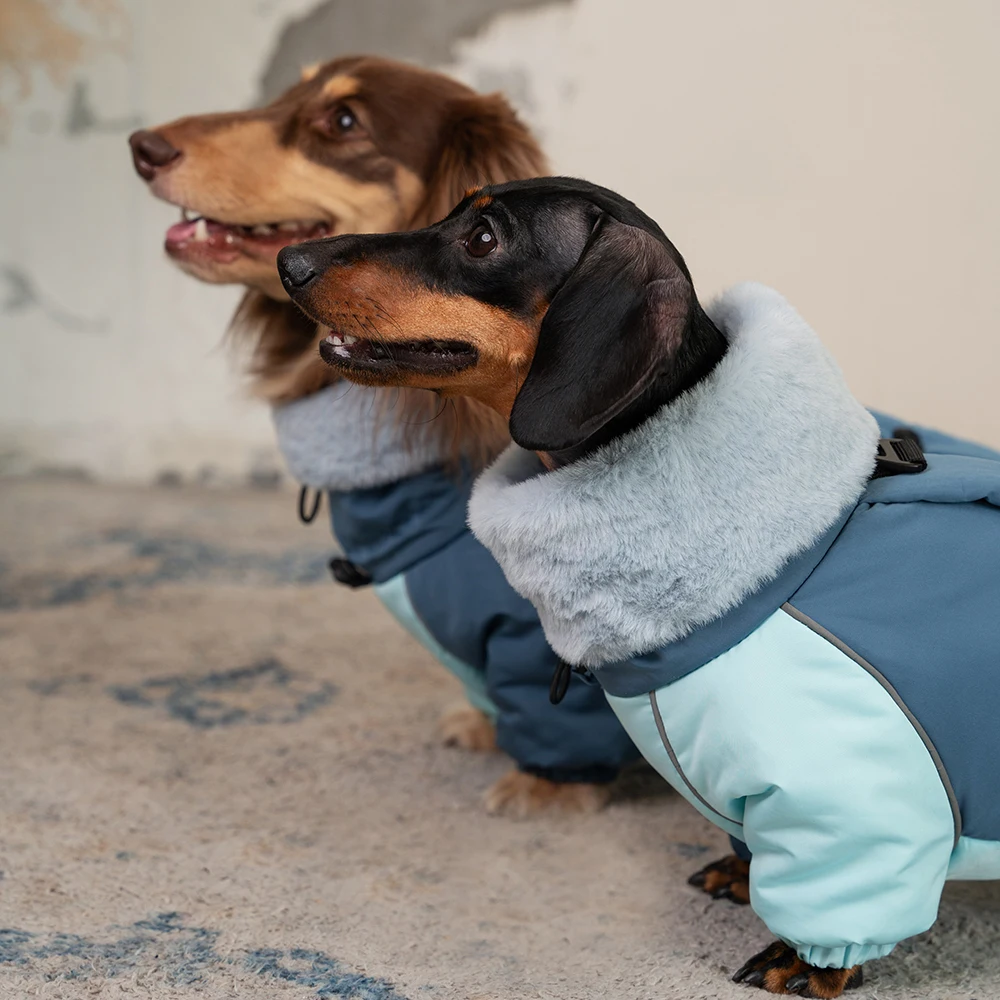 Abrigo de plumón grueso para perros Wiener en invierno, chaqueta cálida a prueba de viento con cuello de piel de visón de 4 patas para perros salchicha pequeños, medianos y grandes - imagen 4