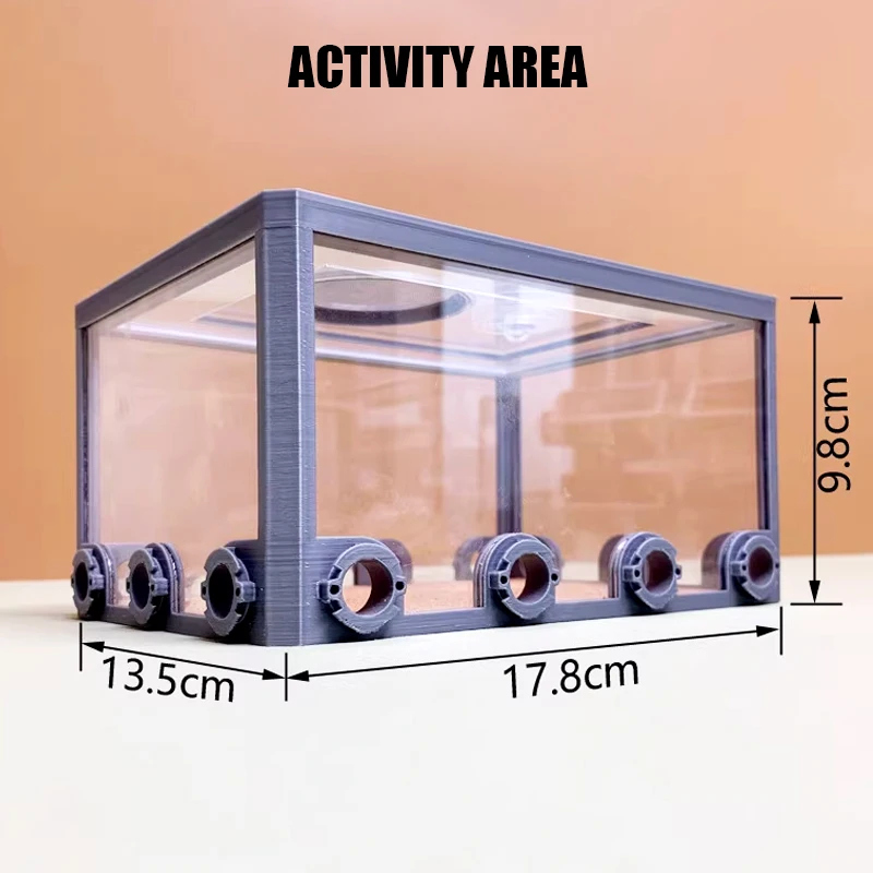 Castillo de Luna de granja de hormigas acrílicas 3D, nido de hormigas de hormigón a base de yeso, perrera de hormigas grandes, taller de antill para mascotas con casa de hormigas de Arena - imagen 5