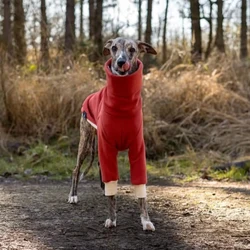 Abrigo de invierno rojo para perros: whippet, galgo y bedlington