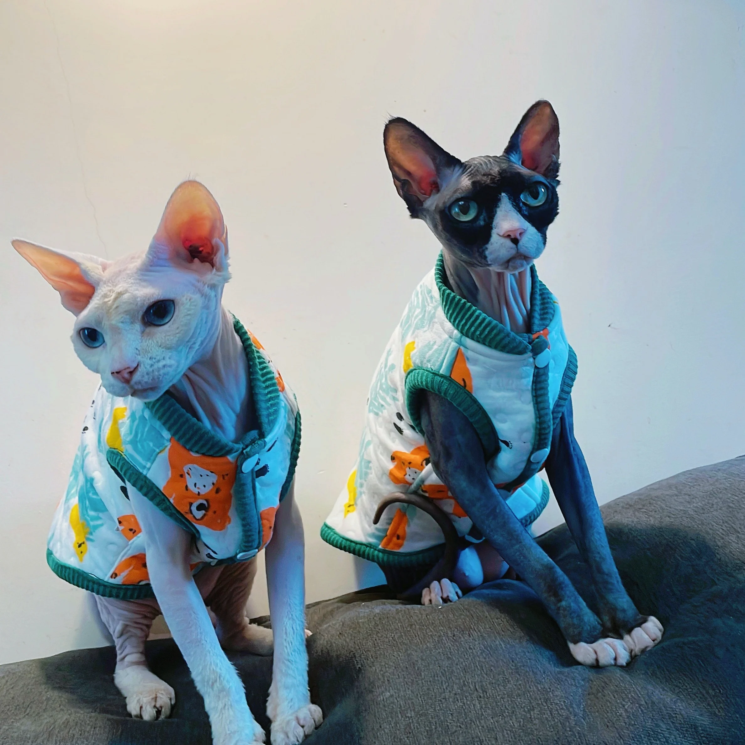Chaleco de algodón suave para gatos Sphynx - abrigo de otoño - imagen 4