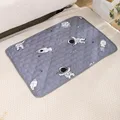 Pet Waterproof Mat-C