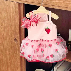 Vestido verano con encaje y fresas para Chihuahua y Bichon – Estilo princesita