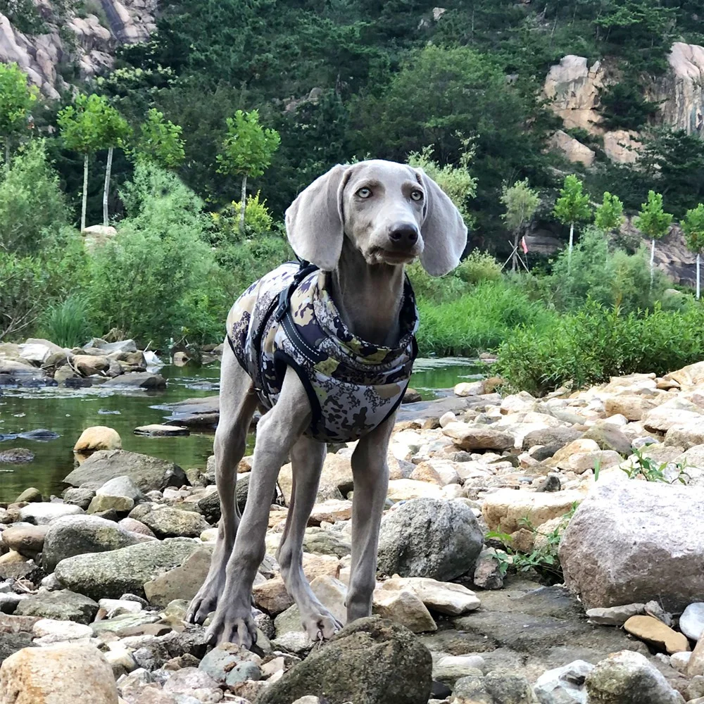 Abrigo impermeable para perros grandes con arnés – Invierno práctico - imagen 5