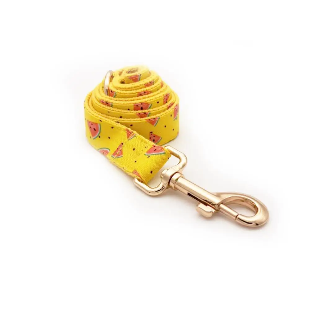Collar para perro amarillo sandía con hebilla de identificación - imagen 3