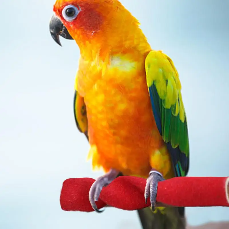 Soporte de ducha para pájaros, barra de juego para loros, jaula de pájaros, palos de garra de juguete, varilla de lijado, accesorios para pájaros amorosos - imagen 4