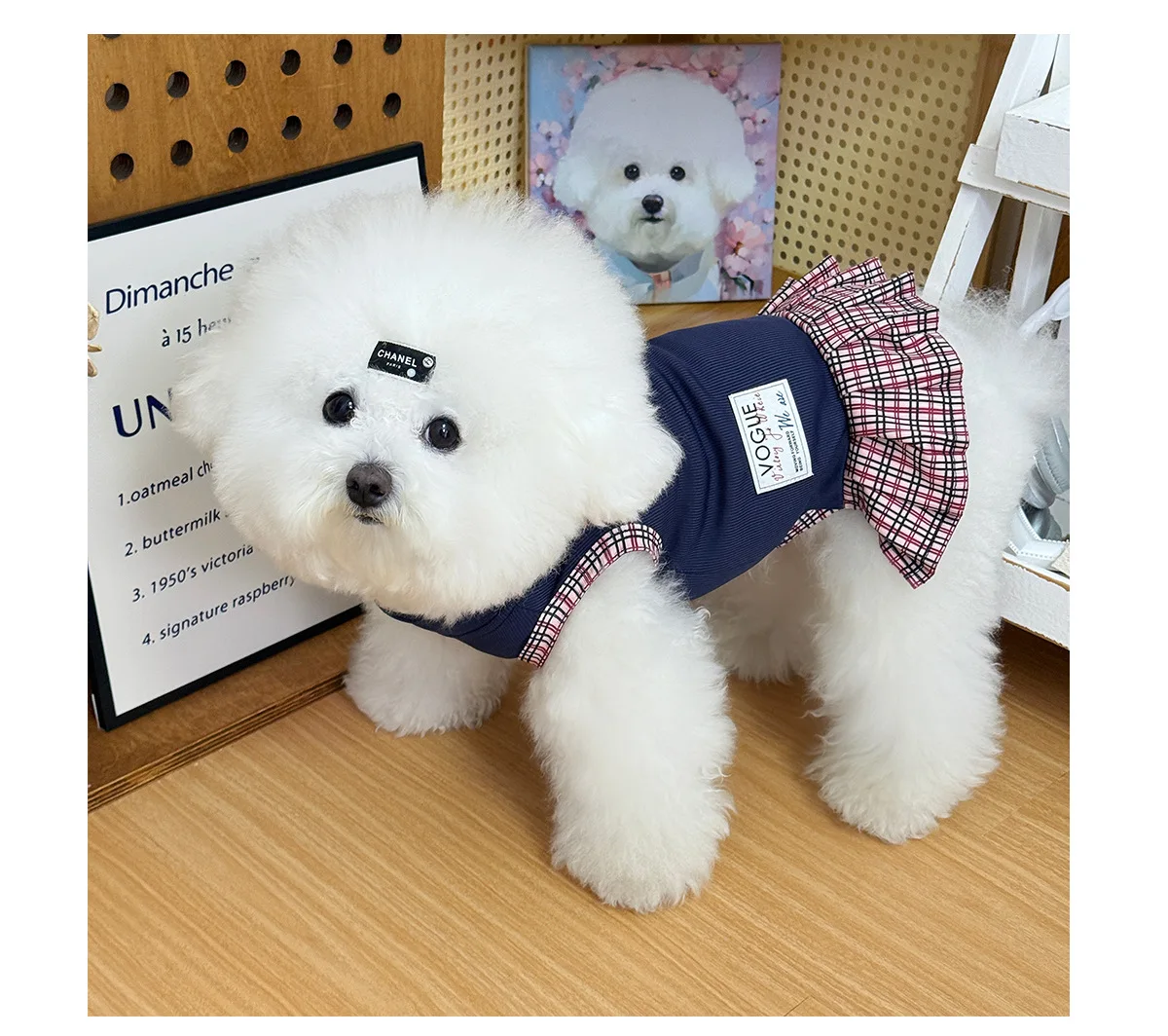 Ropa para perros pequeños primaveral: conjunto camisa y falda cuadros - imagen 4
