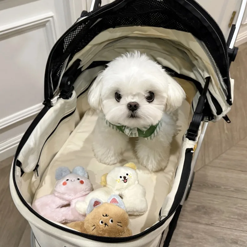 INS, nuevos juguetes para mascotas, BB, peluche, ladridos, vocalizador, rasta, ocultar comida, olfatear, gato, perro, juguetes vocalizadores de peluche para perros, cachorro, Yorkshire - imagen 2