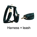 Harness   leash
