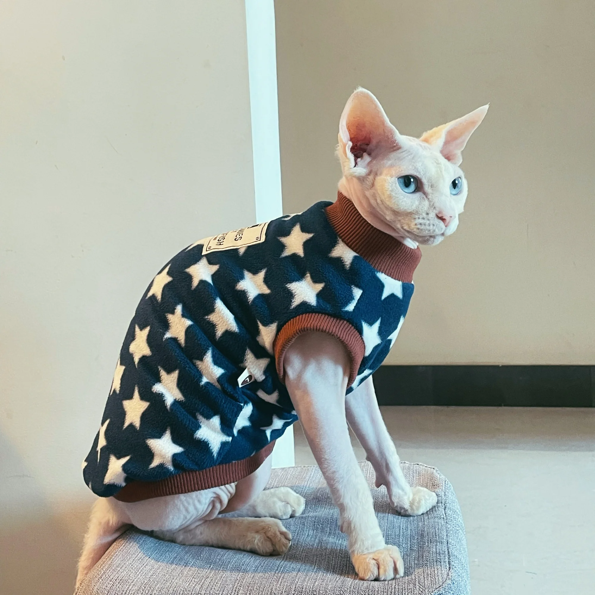 Sudadera de lana para gatos Sphynx y Devon Rex con estrellas