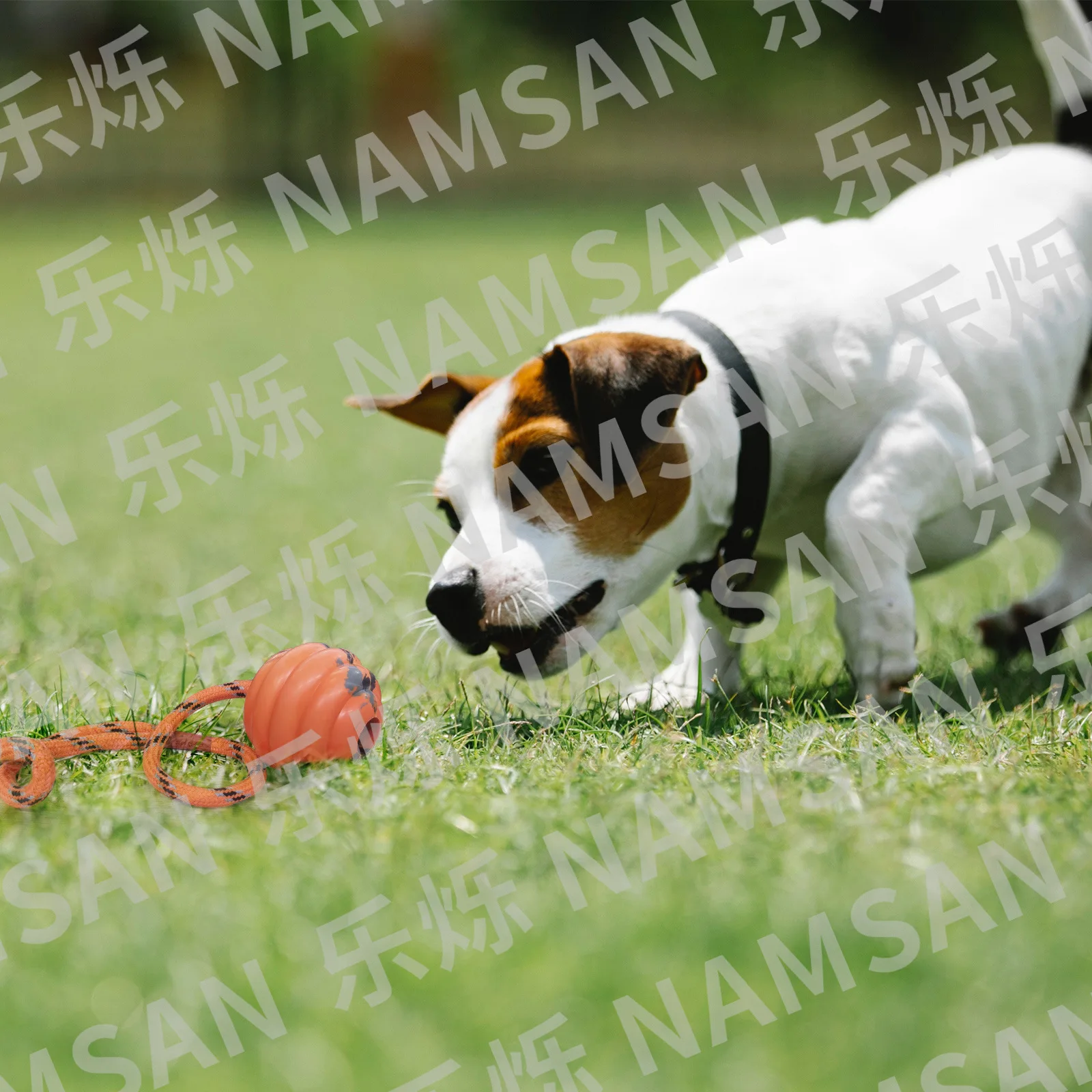 Pelota de goma resistente con cuerda para perros interactiva masticar - imagen 2