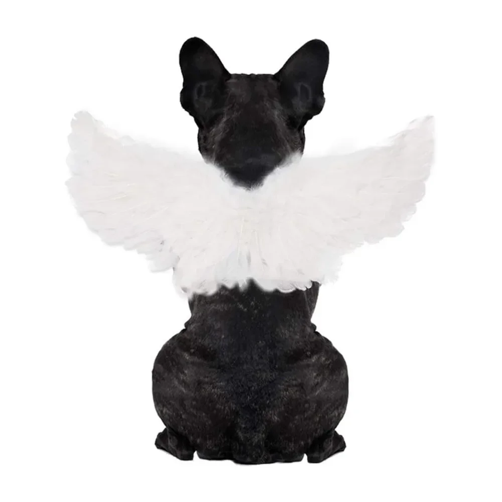 Alas de plumas para mascotas, pecho y espalda, ropa de transformación creativa para gato y perro pequeño, producto de Navidad, accesorios para gatos, Halloween