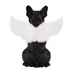Alas de plumas para gato y perro – Disfraz Halloween