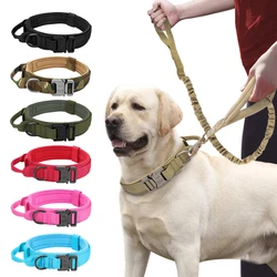 Collar elástico para perros con correa – Ajustable y seguro