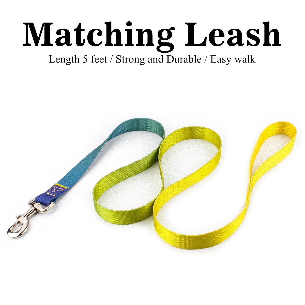 BY-Leash