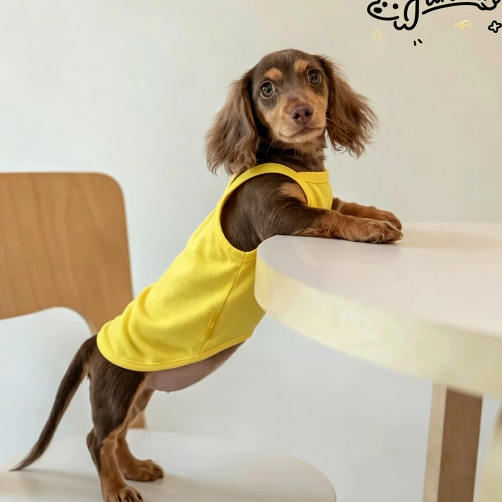 Camiseta de algodón sin mangas para perro salchicha – primavera-verano - imagen 3