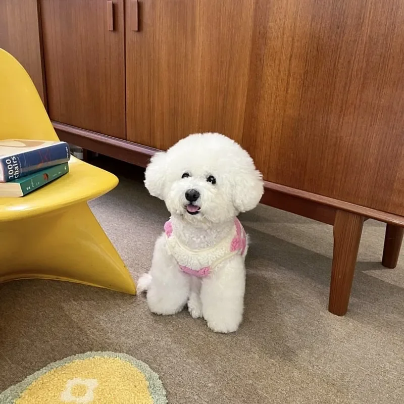 Chaleco de peluche con flores rosas para mascotas, chaleco cálido para invierno, ropa para perros y gatos, ropa para cachorros de dibujos animados de Pomerania fría, productos para perros - imagen 3