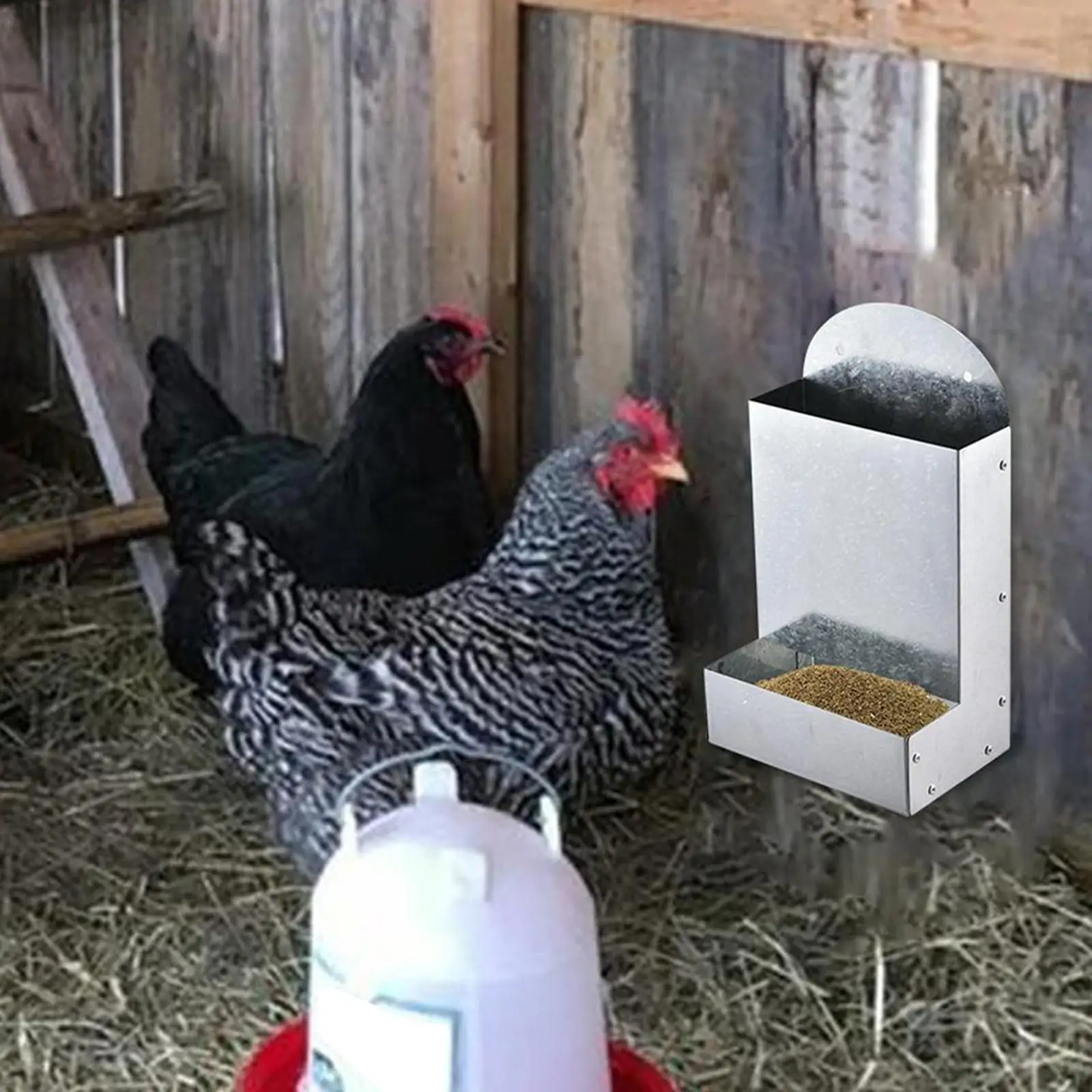 Automatic Chicken Feeder Poultry Feeding Coop Dispenser for Geese Hen Pigeon