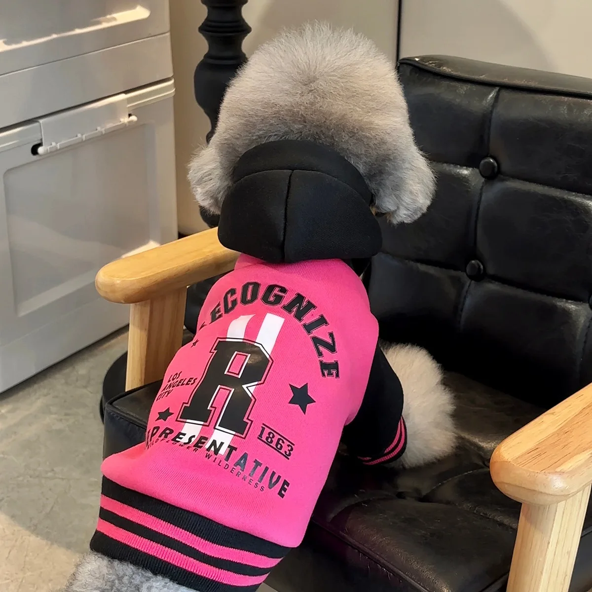 Primavera otoño mascota Color bloqueado sombrero empalme Sudadera con capucha perro grueso cálido mascota remolcable Sudadera con capucha pequeño mediano tamaño perro gato ropa - imagen 2