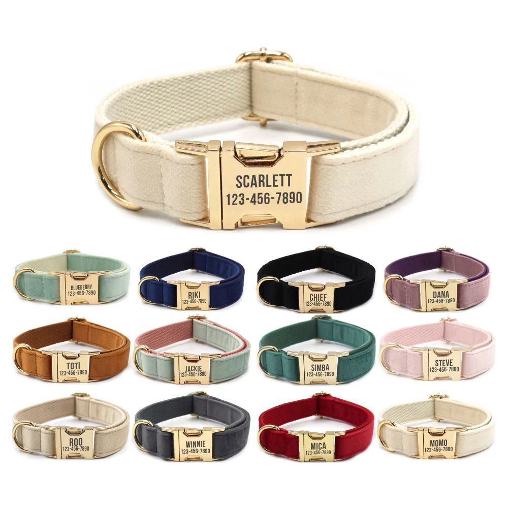 Personalized Multie Color Soft Velvet Dog Collar Customized Free Engraving Puppy Pet Collar Matching Leash Available
