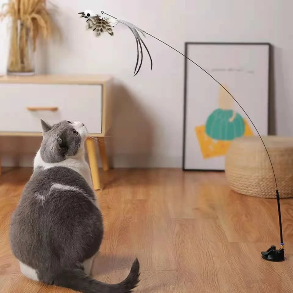 Gato jugando con la varita de pájaro interactivo