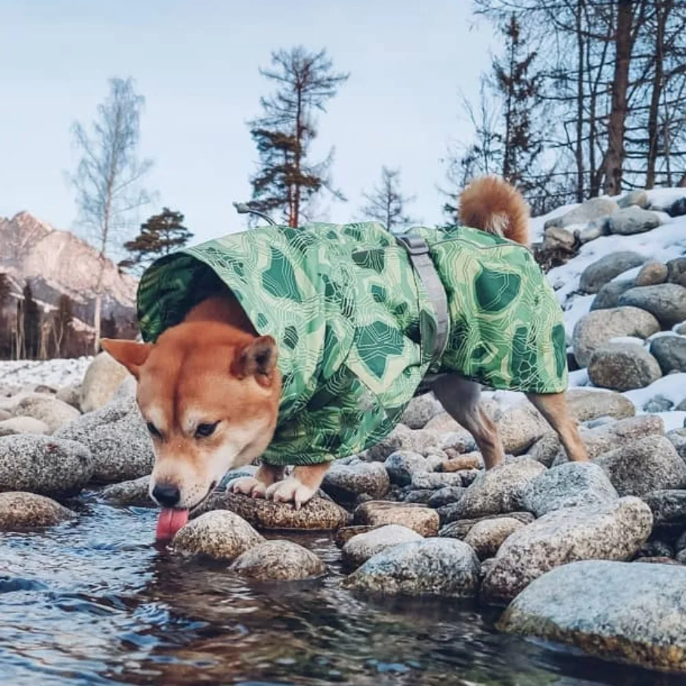 Ropa de invierno para mascotas, tallas medianas y grandes, impermeable, ultraligera, resistente al desgaste, traje de esquí, hermosos productos cálidos para mascotas - imagen 2
