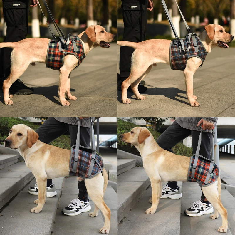 Cinturón de soporte de cuerpo completo para perros, arnés para lesiones en las articulaciones, artritis, parálisis, rehabilitación de mascotas, entrenamiento para caminar, chaleco de elevación ajustable - imagen 3