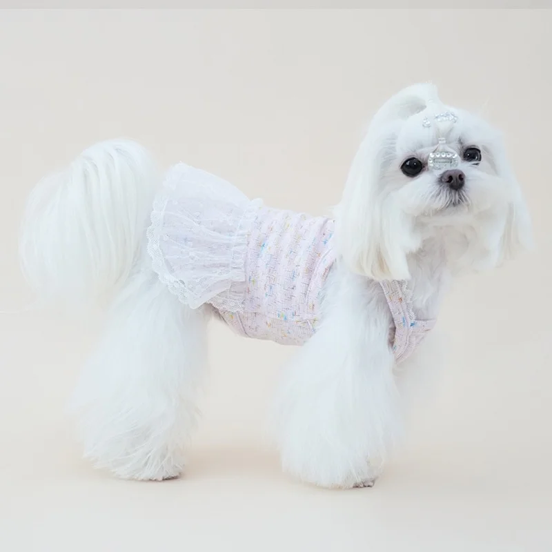 Vestido tutú con encaje para perros Maltese, Chihuahua y Yorkie - imagen 4