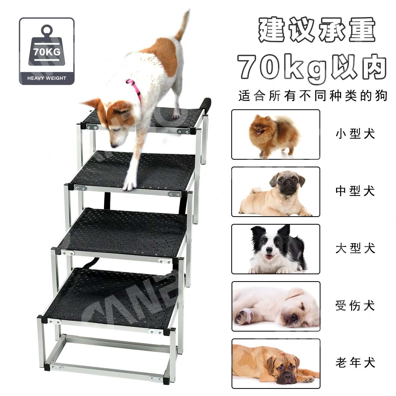 Rampa plegable de aluminio para perros portátil en coche y exterior - imagen 5