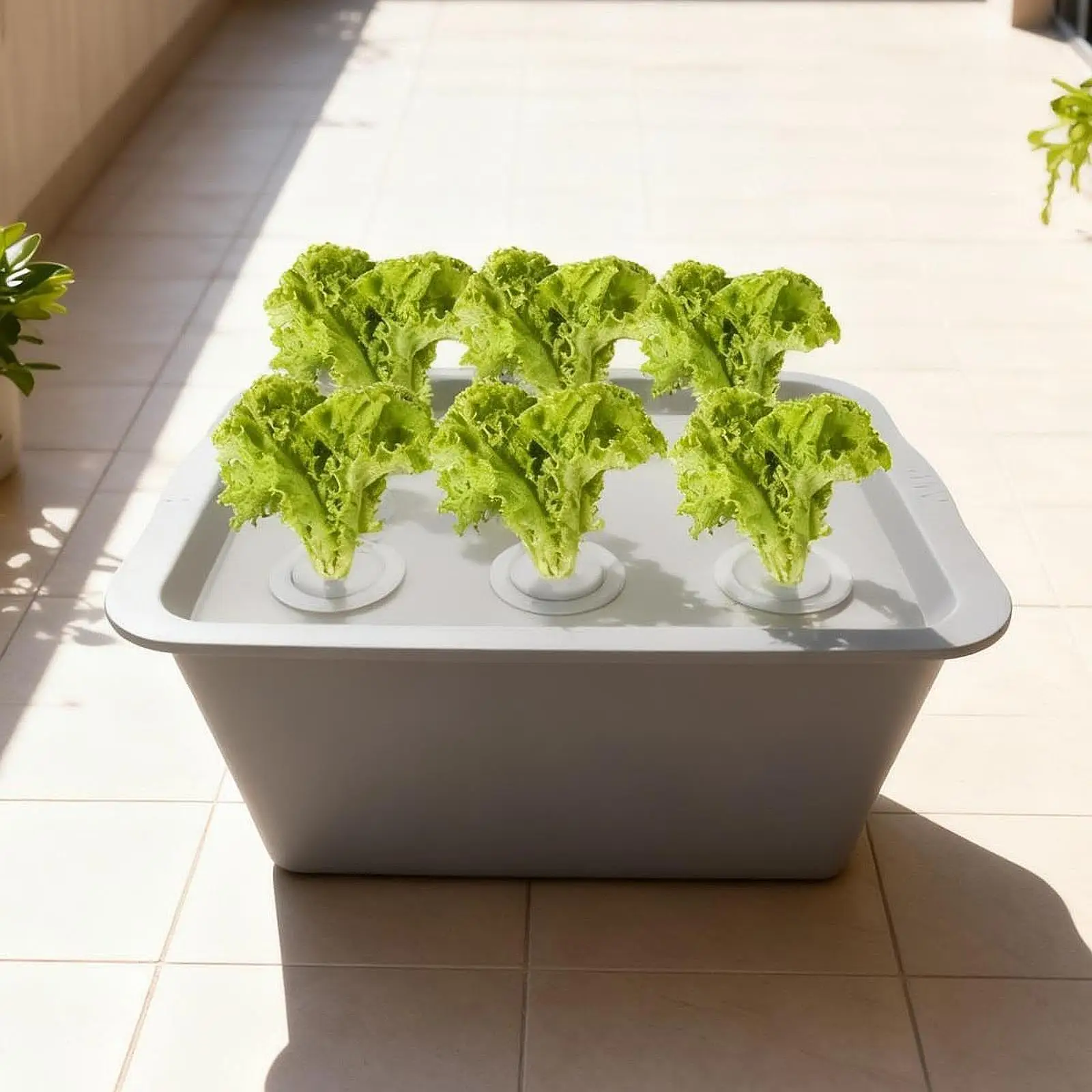 Hydroponic System Growing Box,Improved Aeration,Large Capacity,Garden Cabinet Box,Indoor Gardening System for Lettuce,Vegetables Hydroponic System Growing Box,Improved Aeration,Large Capacity,Garden Cabinet Box,Indoor Gardening System for Lettuce,Vegetables